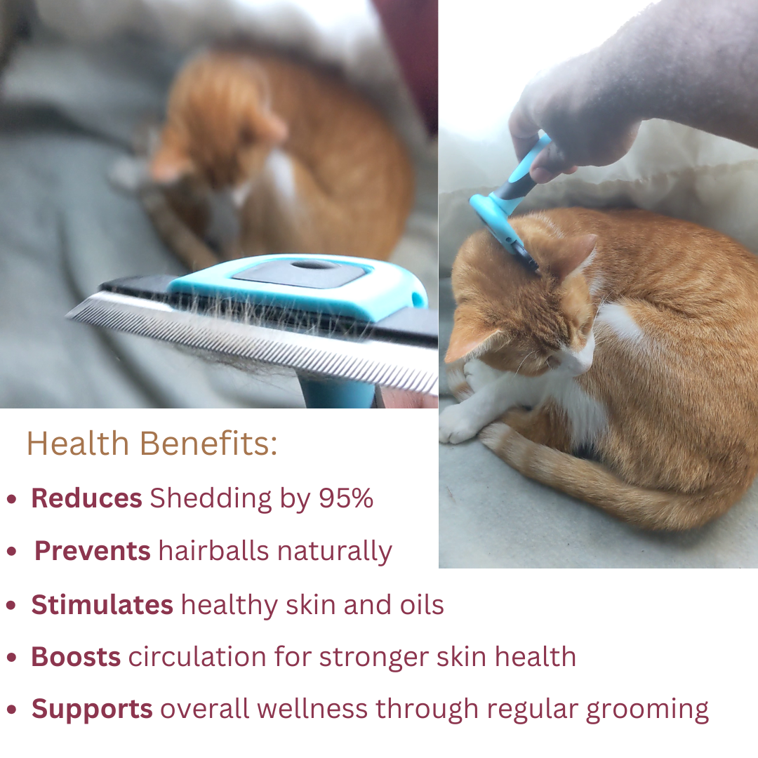 Complete Grooming Kit – FurEase Pro™ + Compact Groomer - Comfy Cat Dizmos