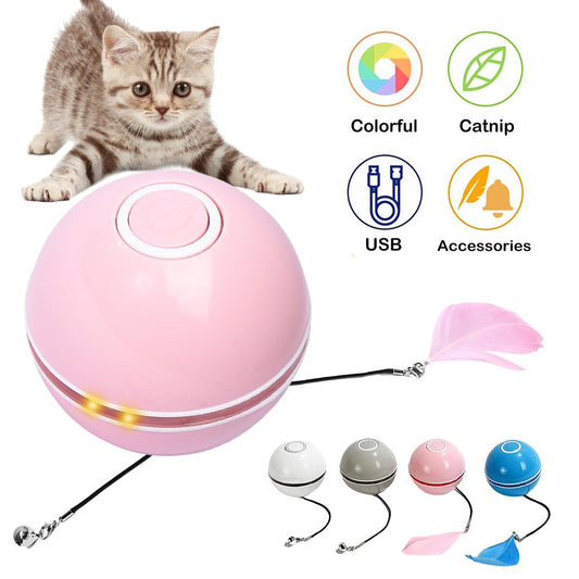 LaserChase Ball - Comfy Cat Dizmos